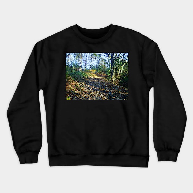 An Autumn Walk Crewneck Sweatshirt by Ladymoose